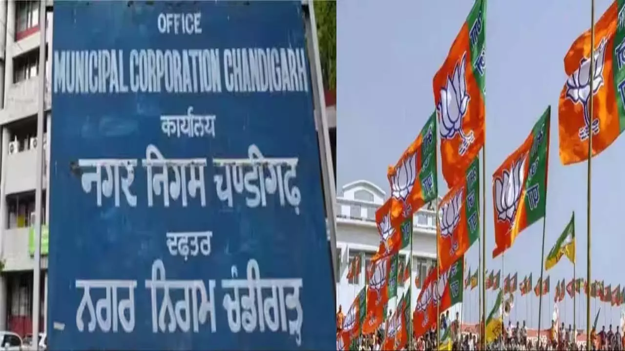 Chandigarh Municipal Corporation: BJP got both the posts of Deputy Mayor