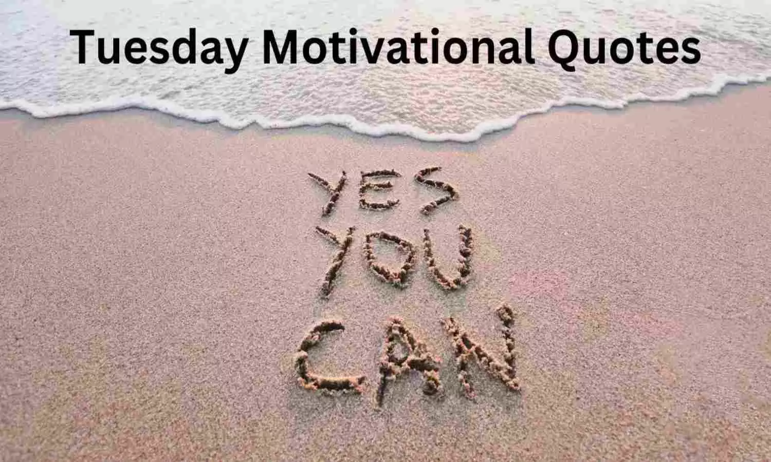 Tuesday Motivational Quotes