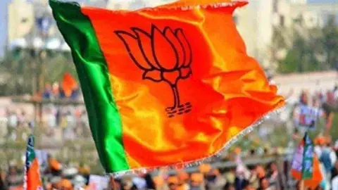 Lok Sabha Elections 2024 BJP Candidate 2nd List