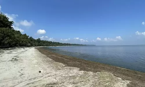 Beach Near Lucknow
