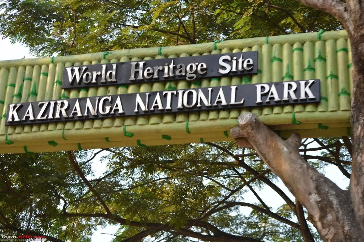 Kaziranga Park History: सौ साल से ज्यादा पुराना है काजीरंगा उद्यान, ब्रिटिश वायसराय की पहल बनी बड़ी योजना