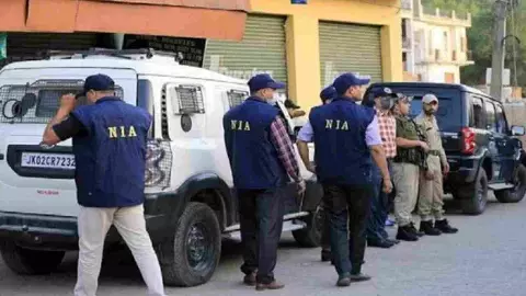 NIA Team