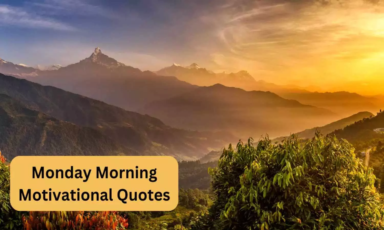 Monday Motivational Quotes