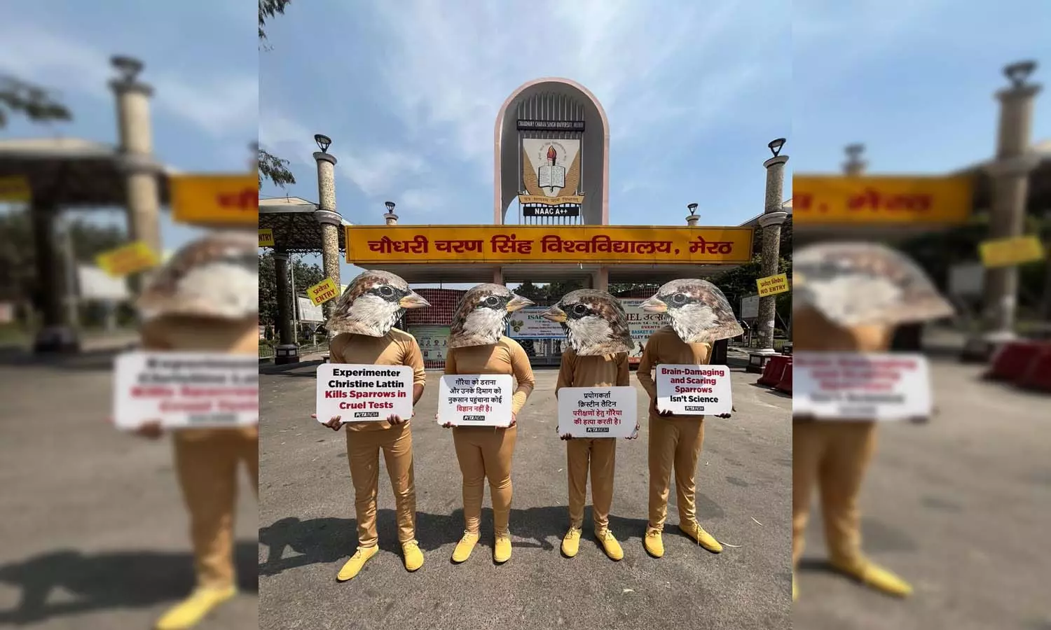 PETA India protests against notorious Louisiana State University (LSU) experimenter Christine Lattin