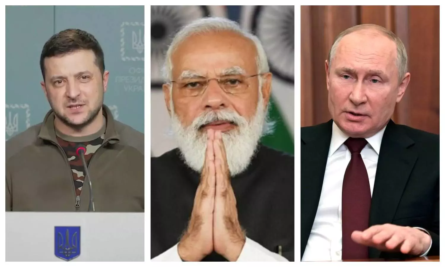PM Modi Talk Vladimir Putin, pm modi with Zelensky, Newstrack Hindi News