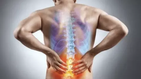 Back Pain And Joint Pain Home Remedies