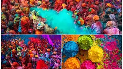 Holi Celebration Holi Celebration