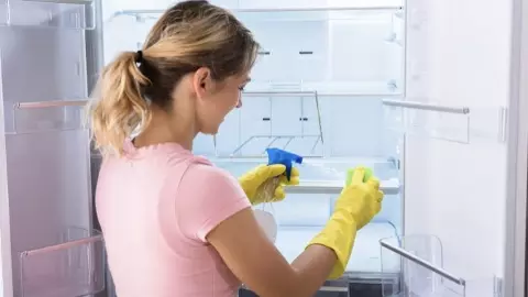 Homemade fridge deep cleaning Spray Homemade fridge deep cleaning Spray