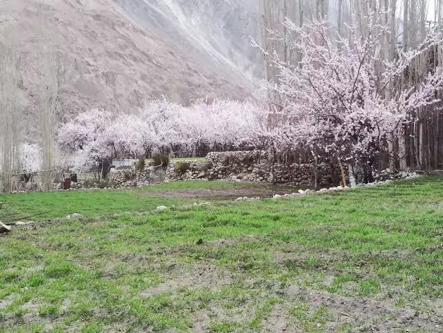 Ladakh In April