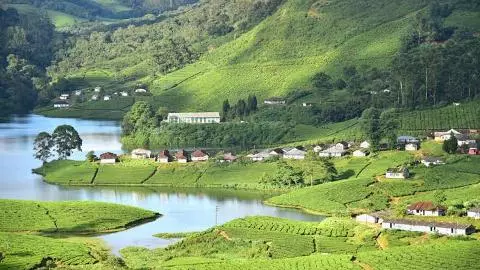 Munnar Top 5 Famous Place Munnar Top 5 Famous Place