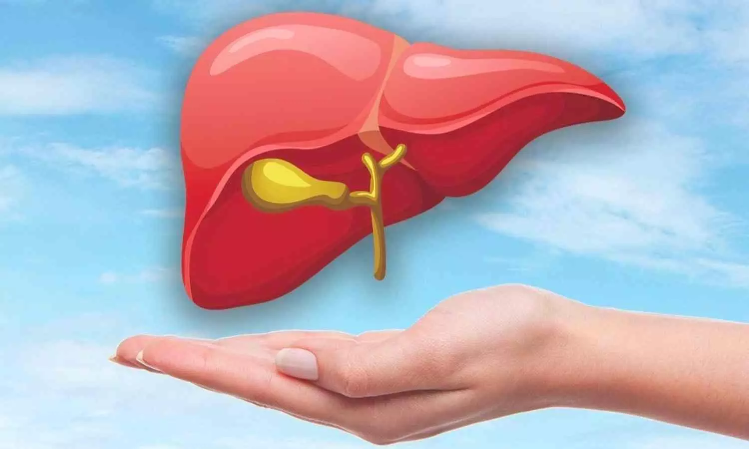 Homemade Remedies For Liver Damage