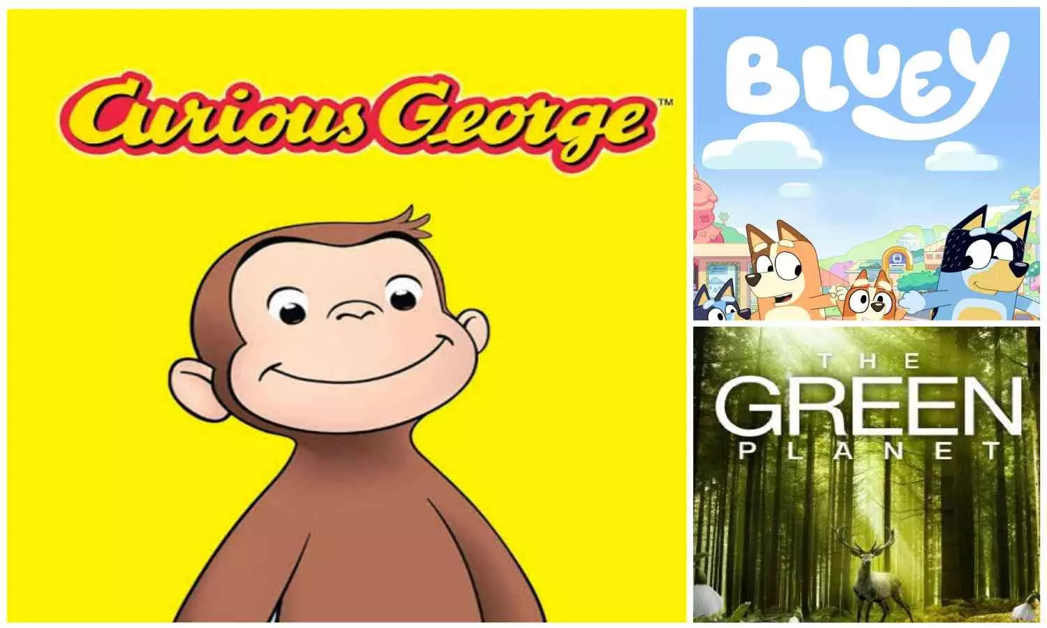 Top 5 Best Educational Shows For Childrens