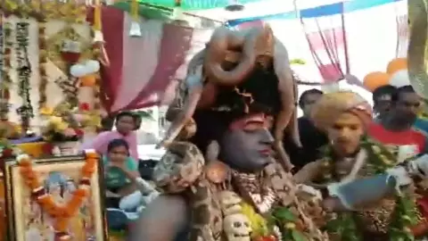 Bhagwat Katha: Large number of snakes seen Bhagwat Katha: Large number of snakes seen