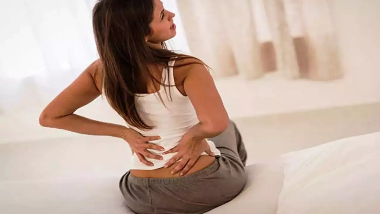 Back Pain: कमर में होता है तेज दर्द, ट्राई करें ये आयुर्वेदिक उपचार