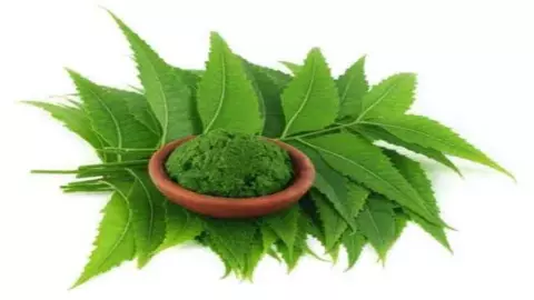 Neem Ke Patti Ke Fayde
