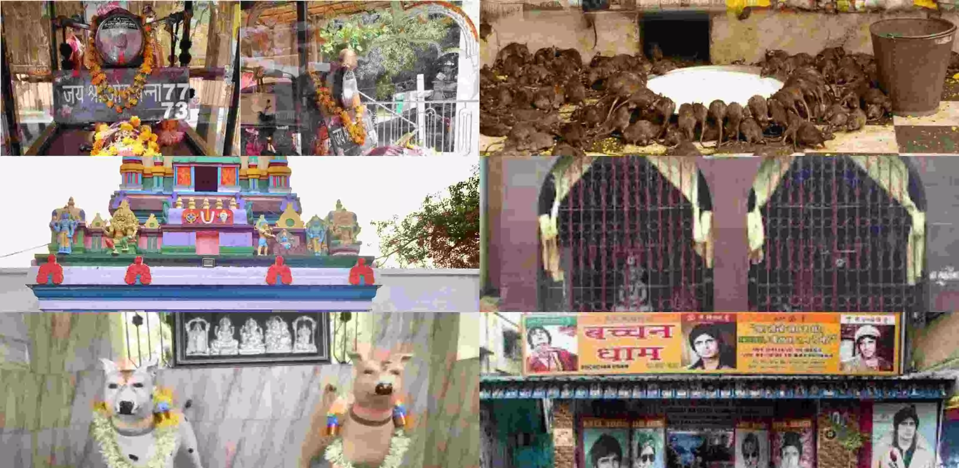 Indias Unique Temples: भारत के अजीबो गरीब मन्दिर, जिसके बारे में सुन चकरा जायेगा दिमाग