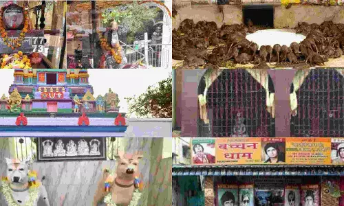 Indias Unique Temples: भारत के अजीबो गरीब मन्दिर, जिसके बारे में सुन चकरा जायेगा दिमाग