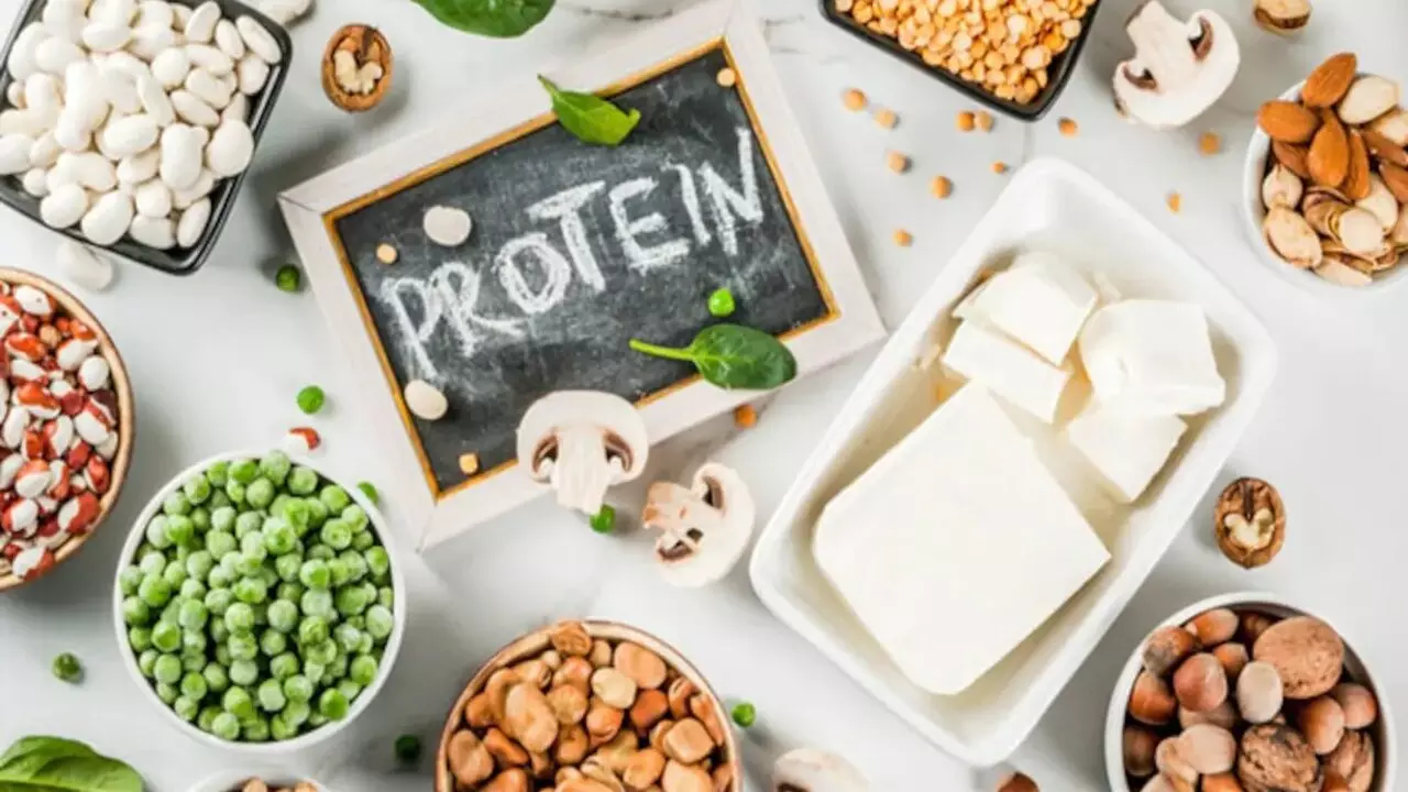 Protein Rich Foods: वेट लॉस के लिए डाइट में शामिल करें प्रोटीन से भरपूर ये 10 चीजें