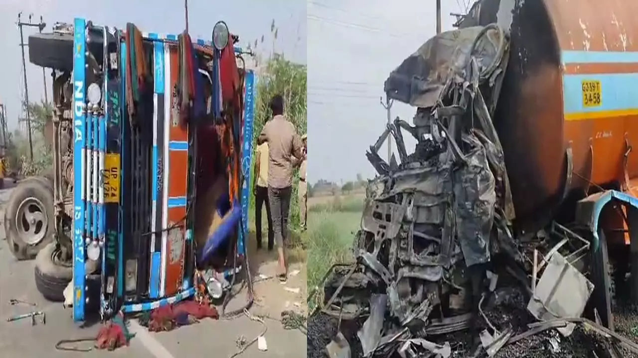 Collision between three vehicles, four buffaloes along with one driver burnt to death