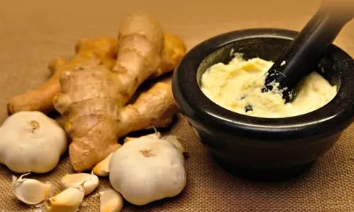 Ginger Garlic Paste Recipe
