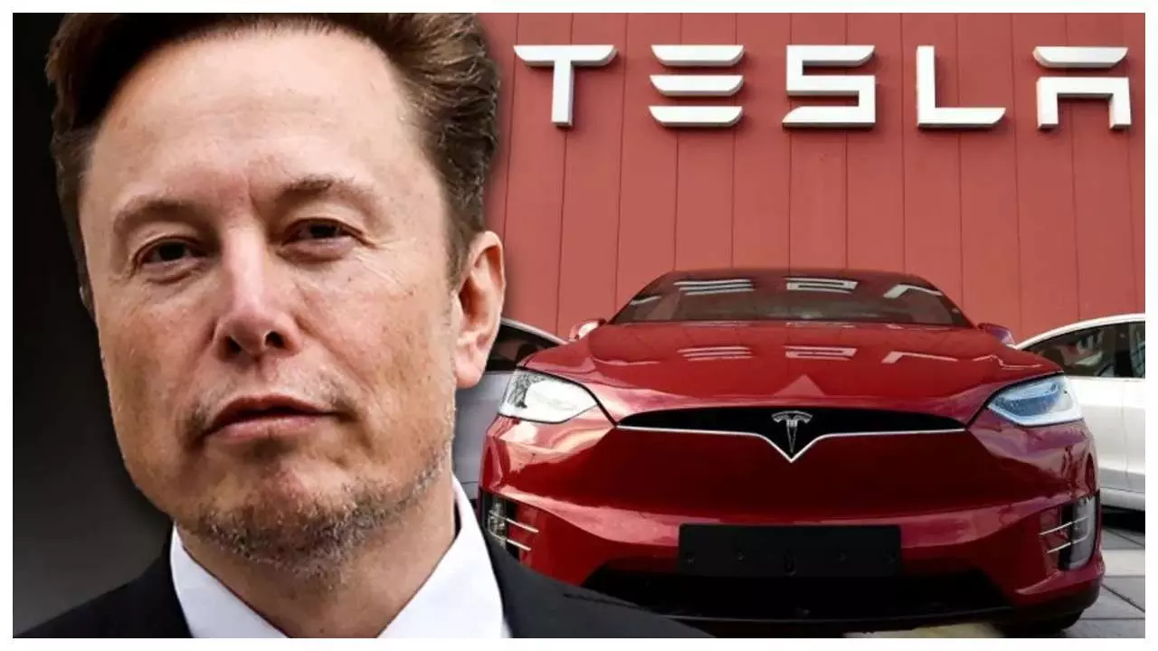 Tesla ( Social Media Photo)