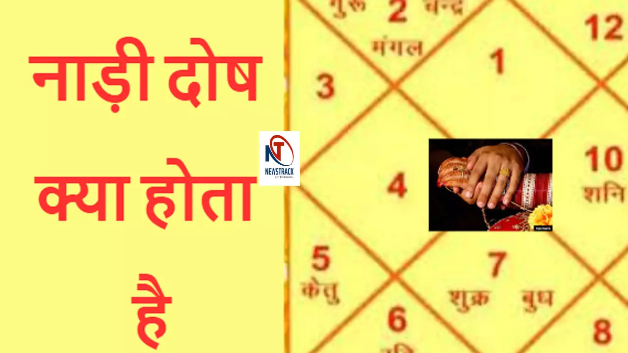 Nadi Dosh Kya Hota Hai In Hindi: नाड़ी दोष क्या होता है? जानिए कारण, इसके घातक प्रभाव और इससे बचने के उपाय