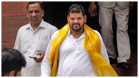 बृजभूषण सिंह।