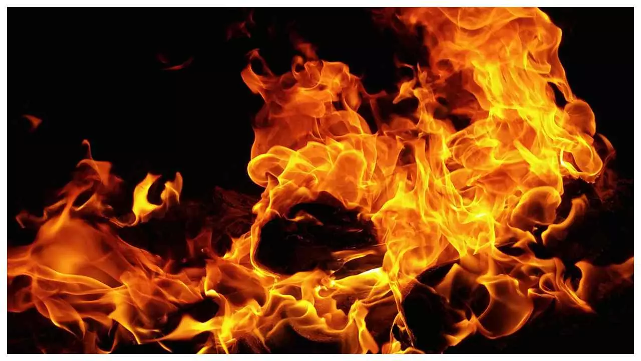 Delhi Fire News: डीएनडी के पास यमुना क्षेत्र में लगी भीषण आग, काबू पाने में जुटी फायर ब्रिगेड की टीम
