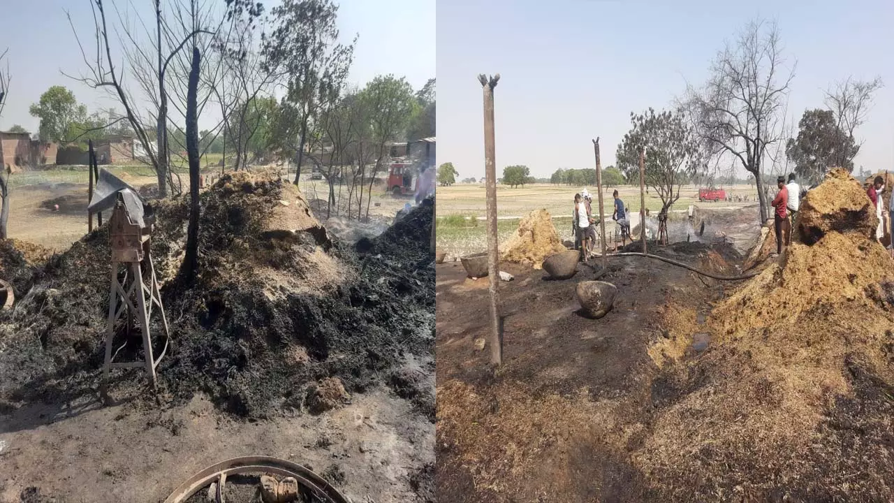 Two dozen huts burnt to ashes, animals also burnt