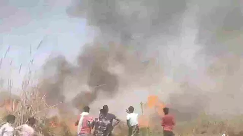 fire in Wheat crop