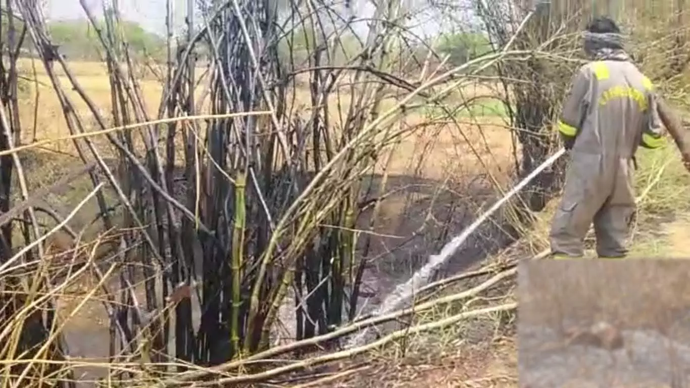 Farmer burnt to death due to fire in his field, chaos in the family