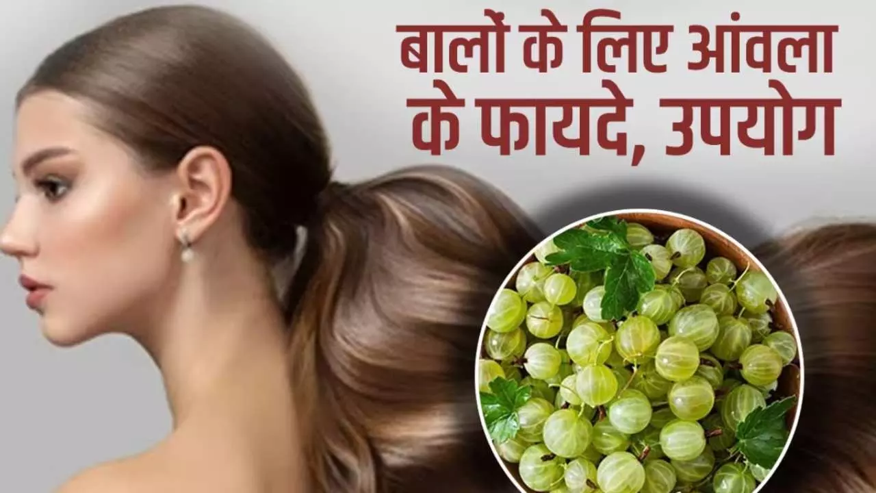 Gooseberry Benefits For Hair