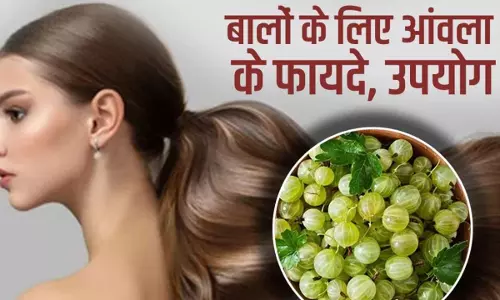 Gooseberry Benefits For Hair