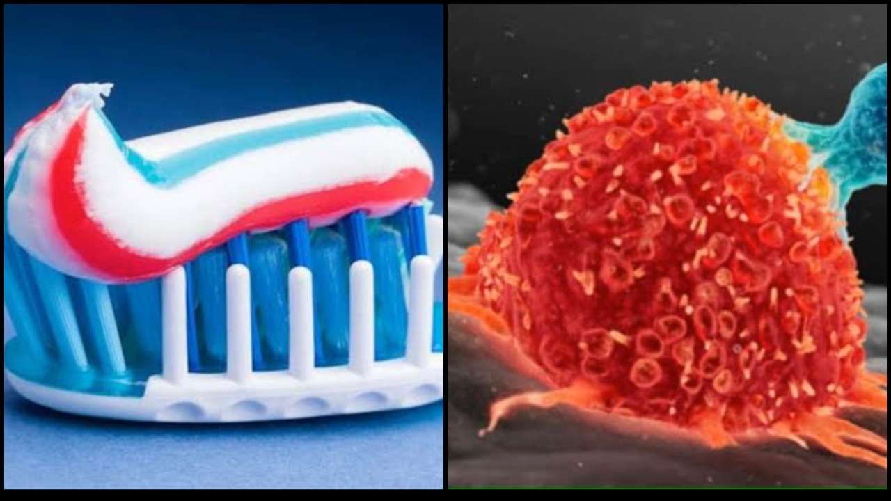Cancer Toothpaste कैंसर की मुख्य वजह है टूथपेस्ट | Causes Of Cancer | Health News in ...