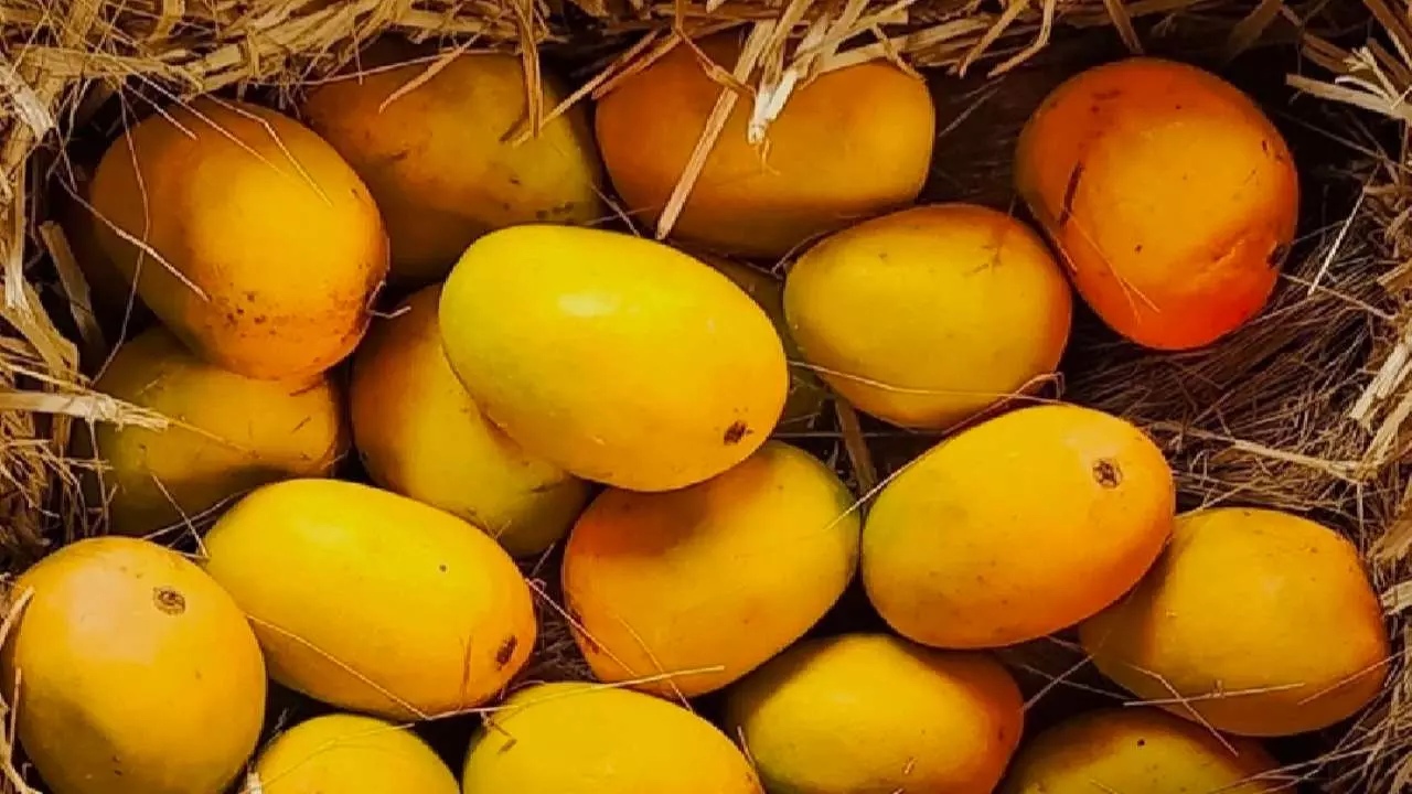 Mango Eating Tips