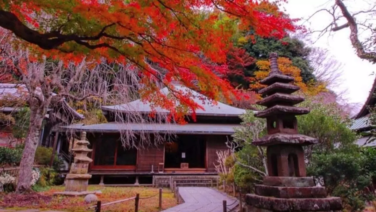 Divorce Temple Japan