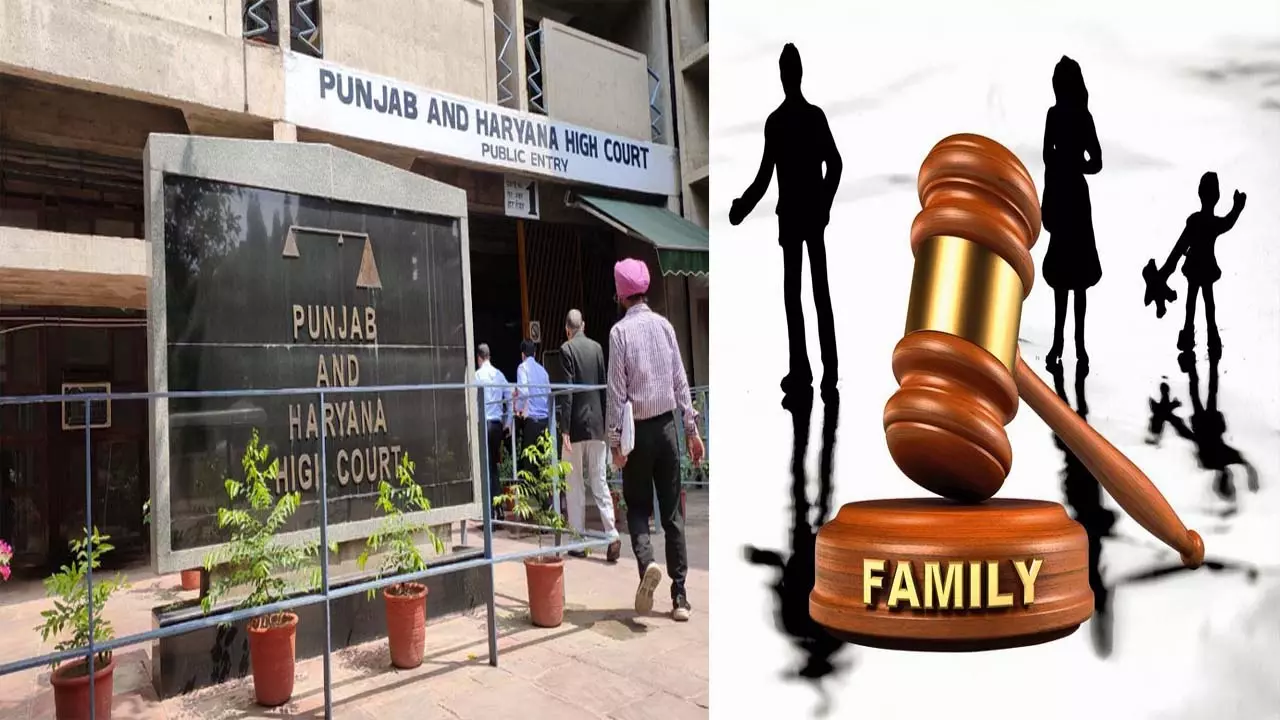 Punjab and Haryana High Court Wife does not want to live with old mother-in-law, High Court grants divorce