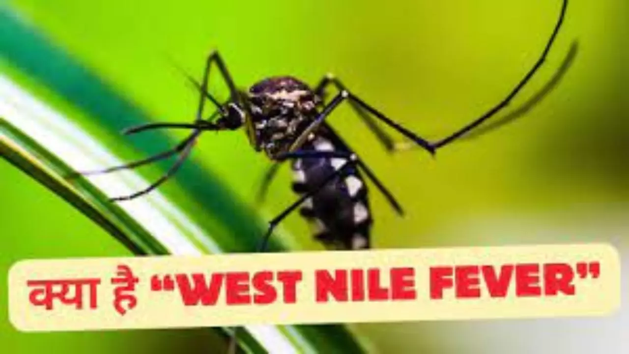 West Nile Fever