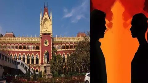Calcutta High Court said- Calling sweetie or baby is not always sexual comments
