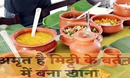 ICMR Report - Earthen utensils are best for cooking