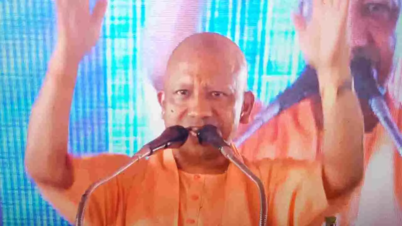 Cm yogi