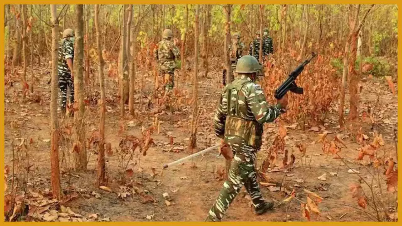 Bijapur Naxal Encounter : बीजापुर में सुरक्षाबलों को बड़ी कामयाबी, 12 नक्सली ढेर