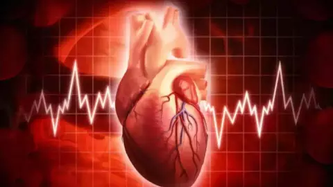 The heart which had been closed for 19 hours suddenly started beating