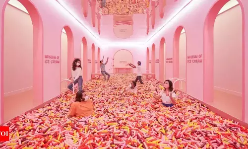 Ice-Cream Museum In Delhi