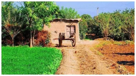 Hindi Poetry (Social Media Photo)