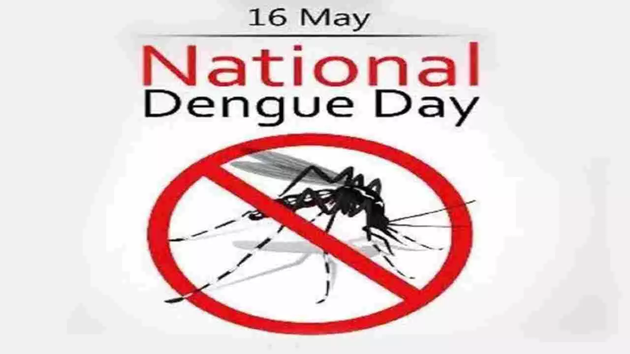 National Dengue Day 2024