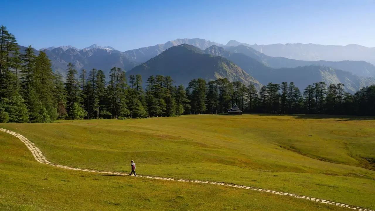 Shangarh Meadow Himachal