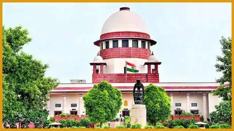 Supreme court Supreme court