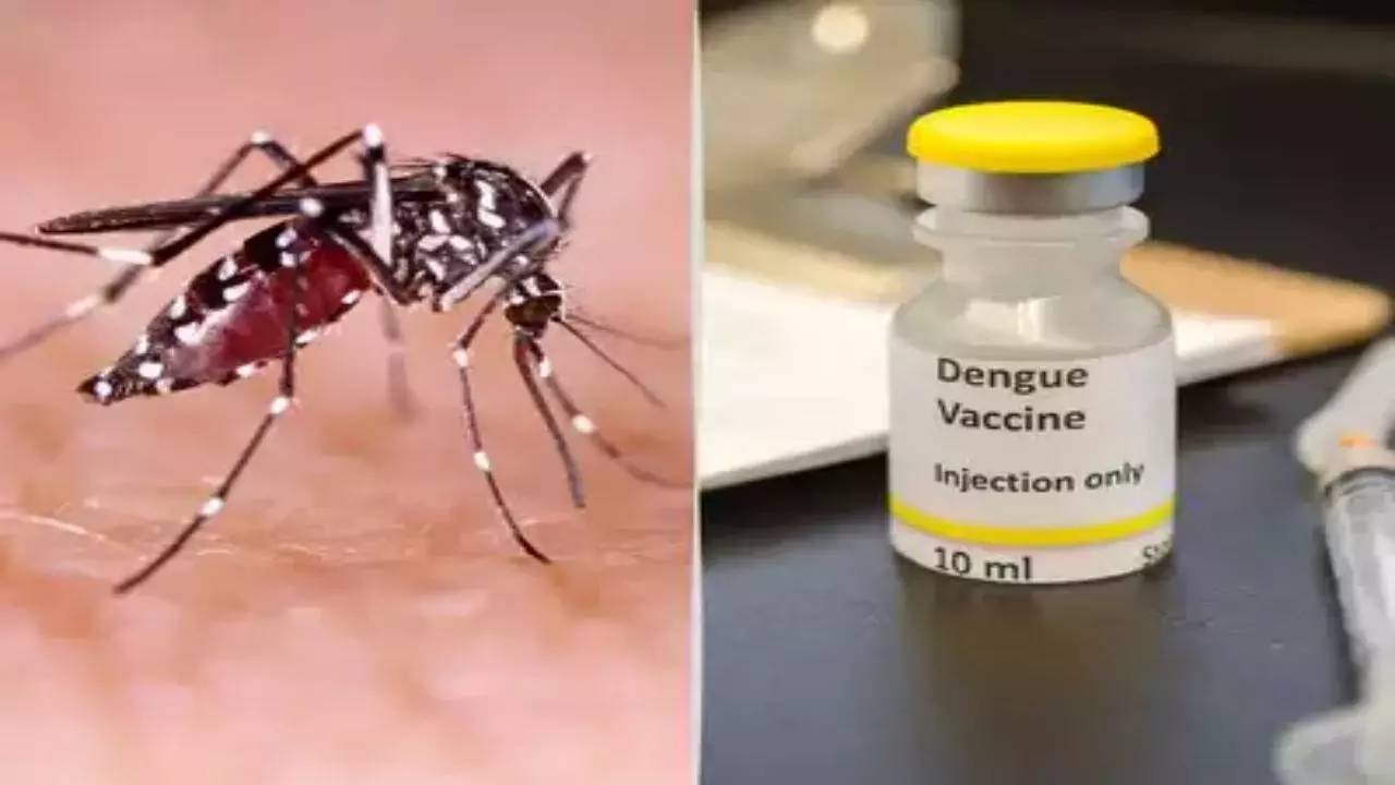 Second Dose of Dengue Vaccine