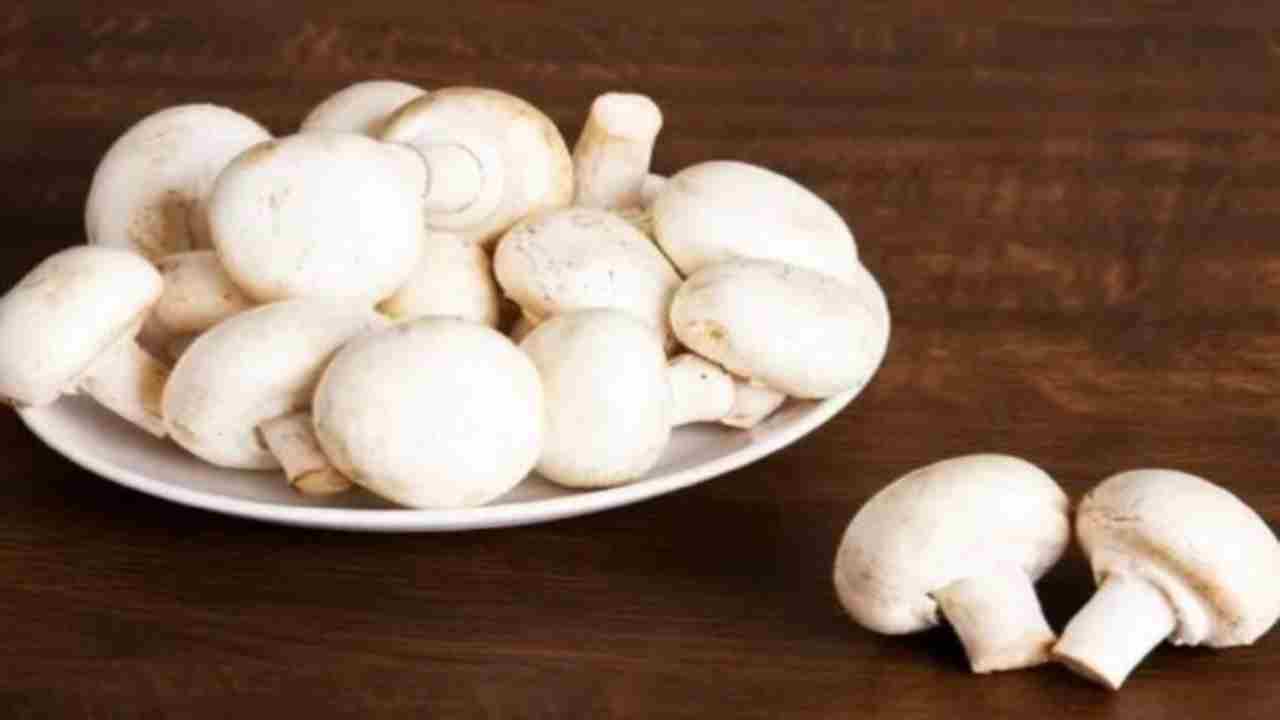 मशरूम खाने के फायदे | Benefits Of Eating Mushroom | Health News in
